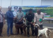 Program DD Desa Pakisredjo Prioritaskan Masyarakat Miskin Melalui Pemberdayaan Bantuan Kambing