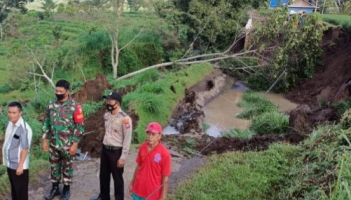 Jalur Alternatif Hubungkan Tiga Desa di Kecamatan Sendang Longsor Dan Terputus