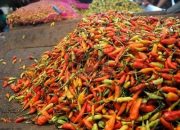 Cuaca Ekstrim Harga Cabe di Pasar Tradisional Ngemplak Tulungagung Meroket