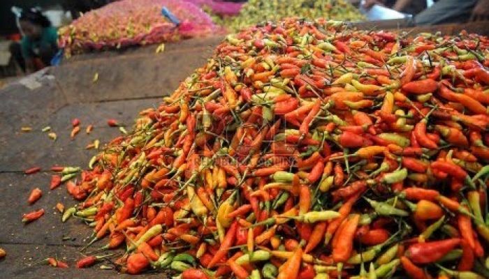 Cuaca Ekstrim Harga Cabe di Pasar Tradisional Ngemplak Tulungagung Meroket