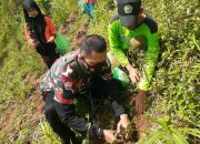 Memperingati Hari Hutan Sedunia, LMP Macab Tulungagung Ikuti Giat Reboisasi