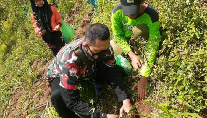 Memperingati Hari Hutan Sedunia, LMP Macab Tulungagung Ikuti Giat Reboisasi