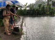 Ditinggal Kakaknya BAB Saat Bermain, Balita Ditemukan Meninggal Di Kolam