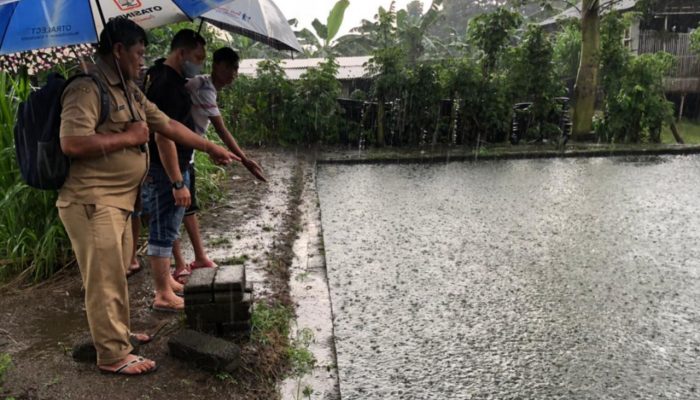 Ditinggal Kakaknya BAB Saat Bermain, Balita Ditemukan Meninggal Di Kolam