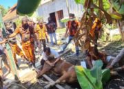 Koti Mahatidana Pemuda Pancasila Kota Surabaya Potong Tujuh Hewan Qurban