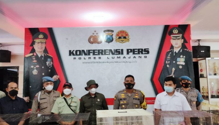 11 Satwa Dilindungi Berhasil Diamankan Polres Lumajang