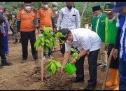 Reboisasi di Simpang Pantai Brumbun, HRC : Wujudkan Tulungagung Pro Iklim