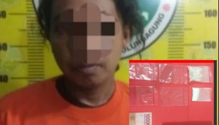 Edarkan Pil Dobel L, Pria Asal Bangoan Tulungagung Dibekuk Polisi