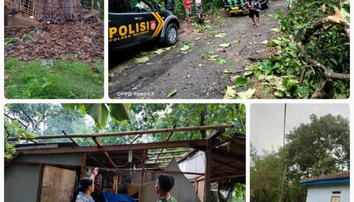 Puting Beliung Timpa Tiga Desa di Kecamatan Mlarak Ponorogo