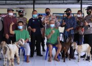 Dinyatakan Sembuh ODGJ Diberi Sepasang Kambing Oleh Kapolres Madiun