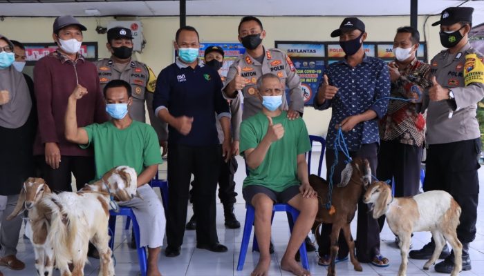 Dinyatakan Sembuh ODGJ Diberi Sepasang Kambing Oleh Kapolres Madiun