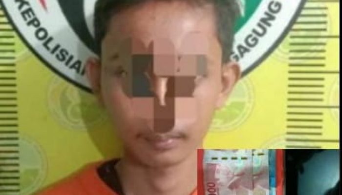 Menjadi Pengedar Pil Dobel L , Pemuda Asal Ngunut Tulungagung Di Amankan Polisi