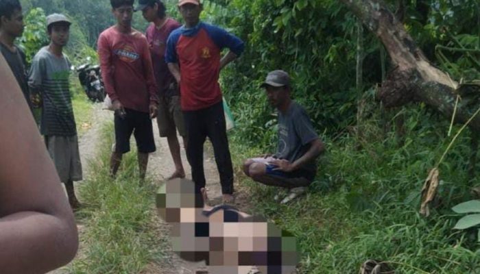 Mencari Ikan Saat Pladu, Seorang Pemuda Asal Tapan Kedungwaru Terpleset Meninggal Di Sungai Brantas