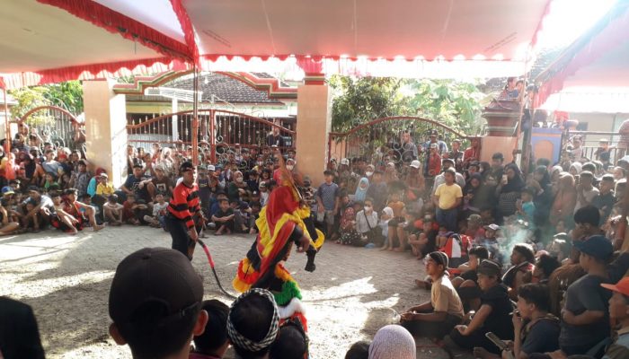 Perhelatan Akbar, Ratusan Seni Barong Unjuk Kebolehan, Meriahkan Halal Bihalal Madin Hidayatut Tholibin