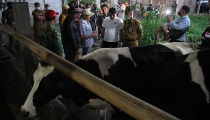 Tangani Wabah PMK di Wilayah Pudak, Bupati Ponorogo Ngantor di Kecamatan Pudak