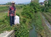 Masyarakat Petani Desa Waung Mengeluh, Saluran air sepanjang 755 Meter Mengalami pendangkalan