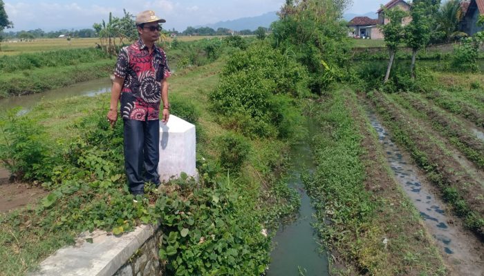 Masyarakat Petani Desa Waung Mengeluh, Saluran air sepanjang 755 Meter Mengalami pendangkalan