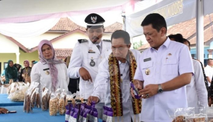 Tiyuh Margo Mulyo Raih Juara II Lomba Desa se-Lampung