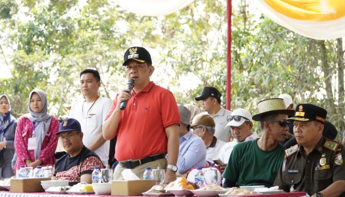 Meriahkan HUT Kemerdekaan RI Pemkab Tubaba Gelar Lomba Perahu, Acara Dibuka Pj Bupati dan Camat