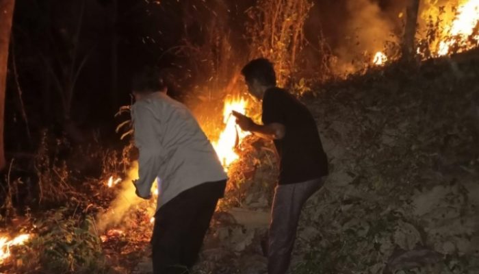 Lahan Jati Seluas 3 Hektar di Trenggalek Ludes Terbakar