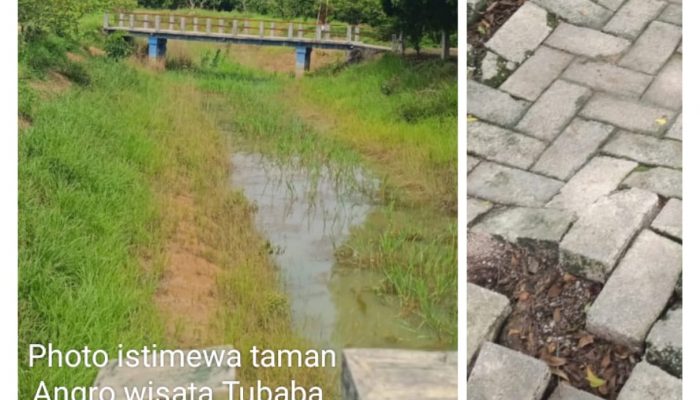 Taman Agro wisata peninggalan Bachtiar Basri Tak terawat Seketaris Dinas pertanian Tubaba Bungkam Soal Anggaran