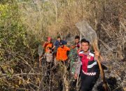 Kebakaran Hutan Kembali Terjadi di Trenggalek, Petugas Berjuang Padamkan Api