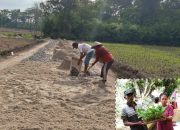 Masyarakat Apresiasi Program Pembangunan Tiyuh Terang Makmur 