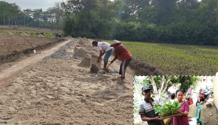 Masyarakat Apresiasi Program Pembangunan Tiyuh Terang Makmur 