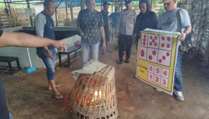 Polres Tulungagung gerebek Kalangan Judi Sabung Ayam Desa Gedangan