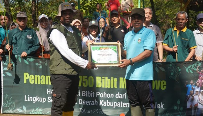 Dukung Net Zero Carbon, Pegawai Setda Trenggalek Tanam 750 Bibit Mangrove di Pancer Cengkrong