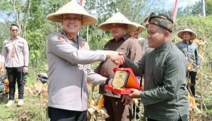 Polres Tulungagung Gelar Panen Raya Jagung Serentak di Desa Nyawangan, Dukung Swasembada Pangan Nasional