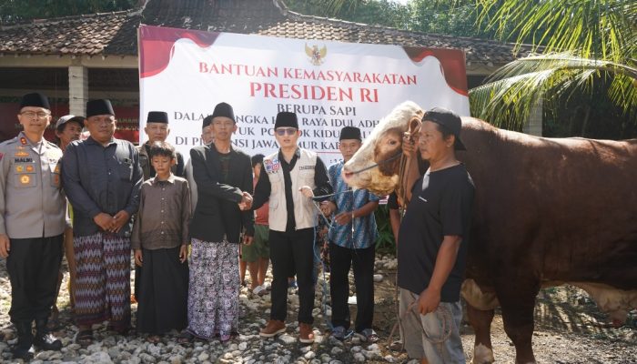 Mas Ipin Serahkan Sapi Khurban Presiden RI ke Pondok Kidul Kali Trenggalek